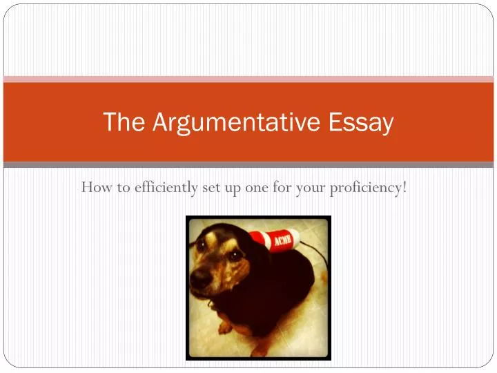 the argumentative essay