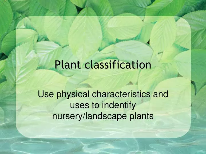 plant classification