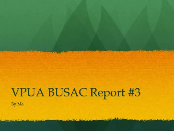 vpua busac report 3