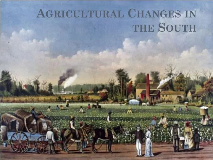 agricultural changes in the south