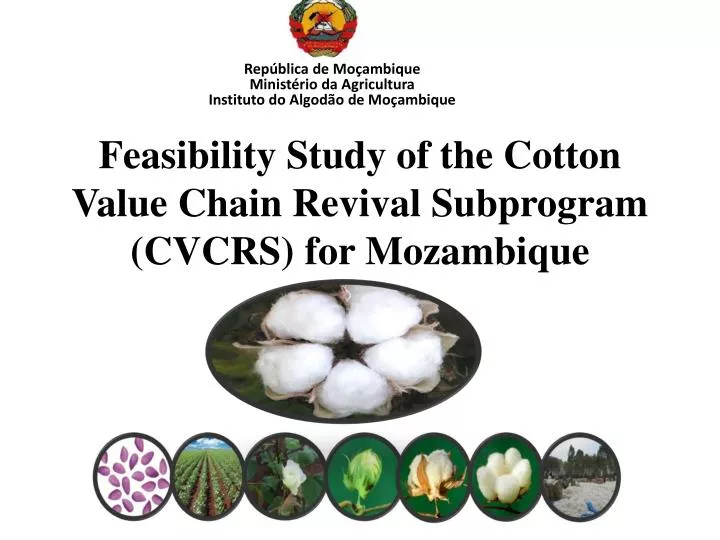 feasibility study of the cotton value chain revival subprogram cvcrs for mozambique
