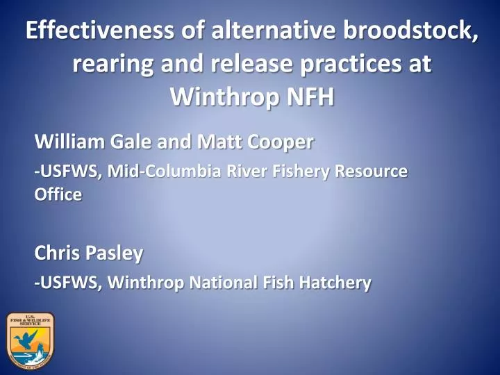 effectiveness of alternative broodstock rearing and release practices at winthrop nfh