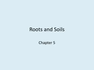 Roots and Soils