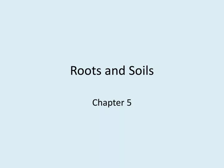 roots and soils