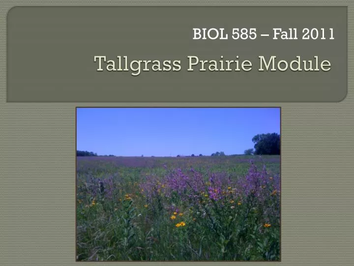 tallgrass prairie module