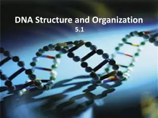 DNA Structure and Organization