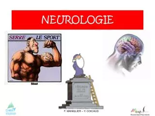 neurologie