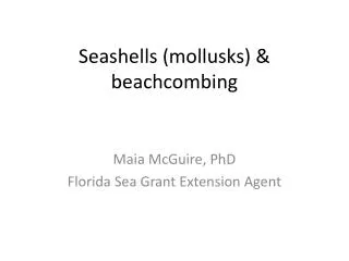 Seashells (mollusks) &amp; beachcombing