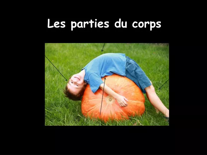 les parties du corps