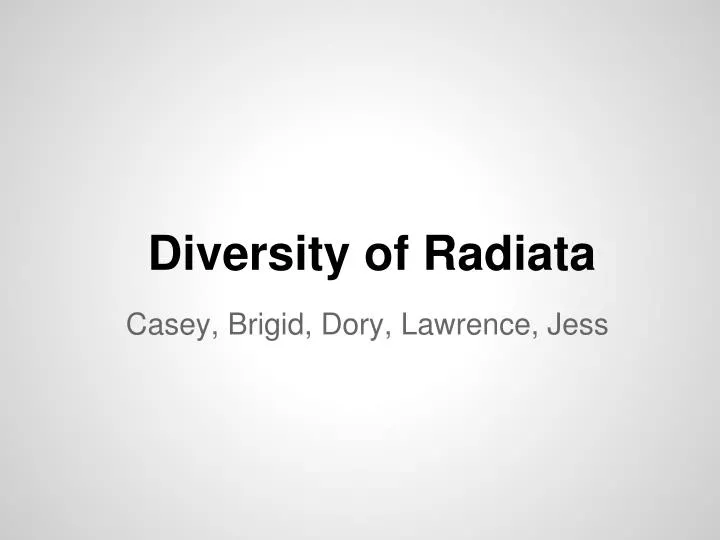 diversity of radiata