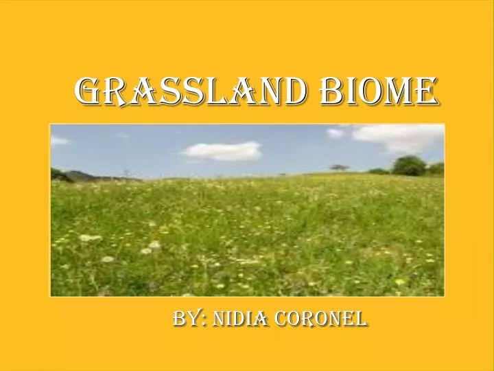 grassland biome by nidia coronel