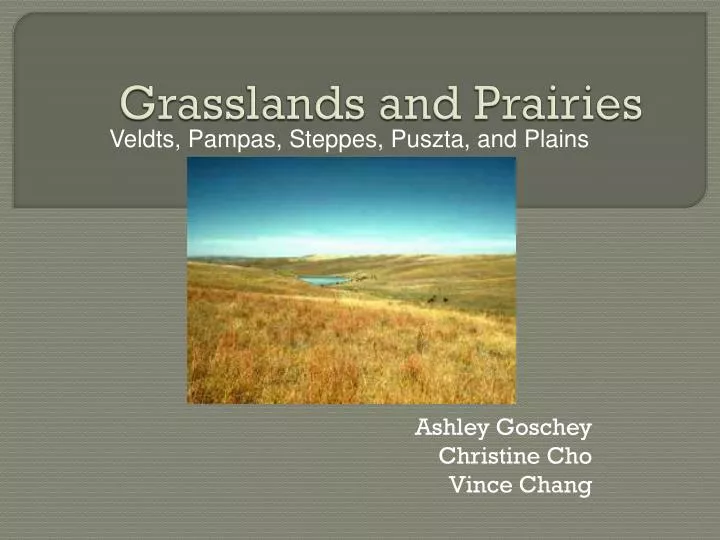 grasslands and prairies