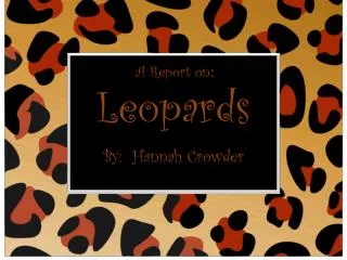 Leopards By: Hannah Crowder