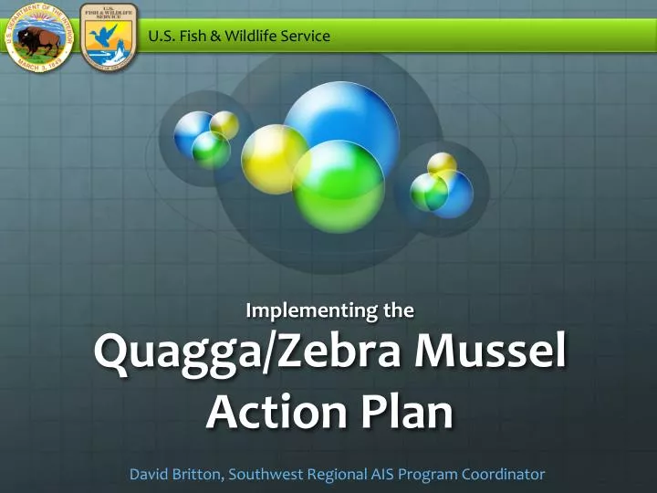 quagga zebra mussel action plan