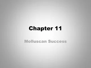 Chapter 11