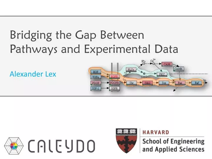 bridging the gap between pathways and experimental data