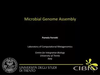 Pamela Ferretti Laboratory of Computational Metagenomics Centre for Integrative Biology