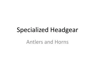 Specialized Headgear