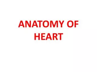 ANATOMY OF HEART