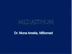 MEDIASTINUM - slide 1