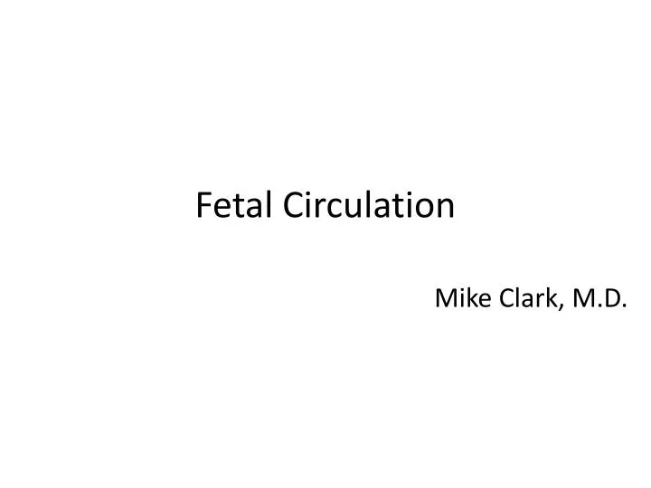 fetal circulation