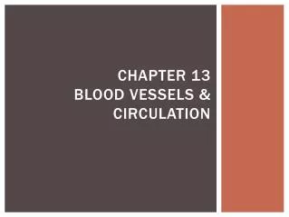 Chapter 13 Blood Vessels &amp; Circulation
