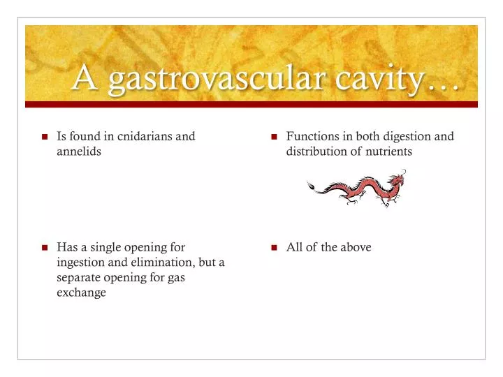 a gastrovascular cavity