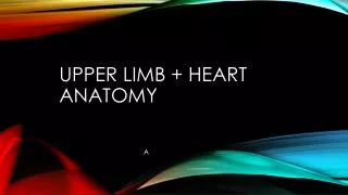 Upper limb + heart anatomy