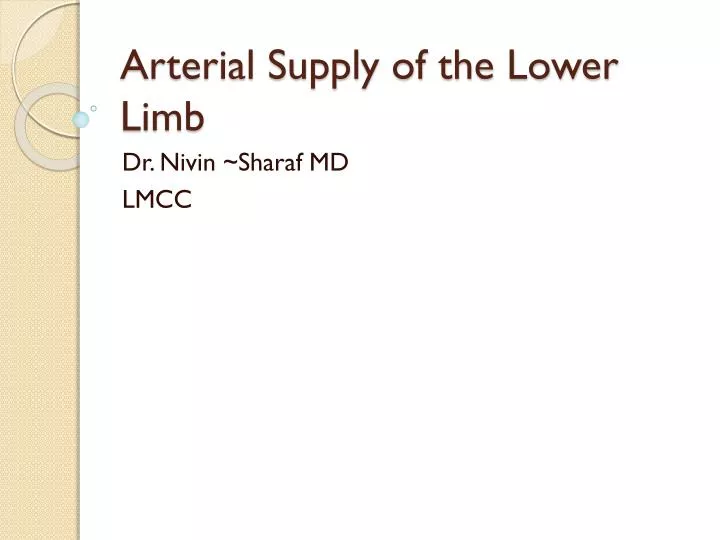 arterial supply of the lower limb