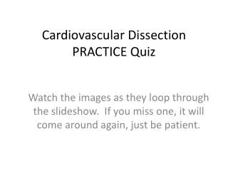 Cardiovascular Dissection PRACTICE Quiz