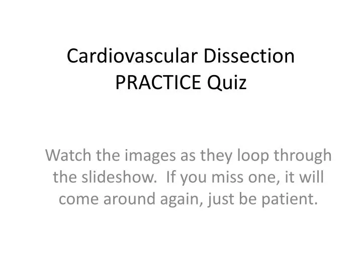 cardiovascular dissection practice quiz
