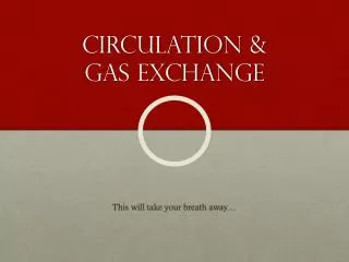 Circulation &amp; Gas exchange