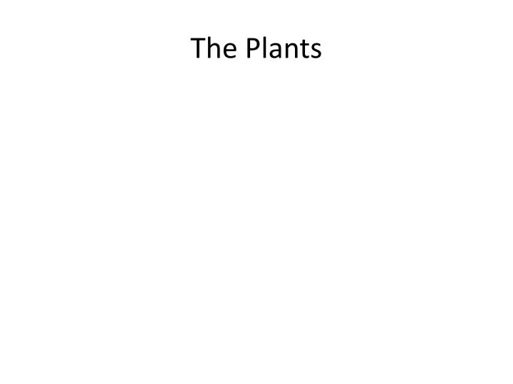 the plants