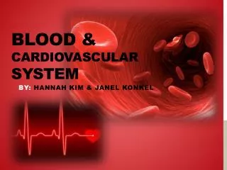 Blood &amp; cardiovascular System