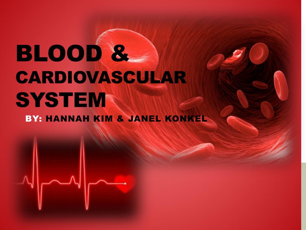 PPT - Blood & cardiovascular System PowerPoint Presentation, free ...