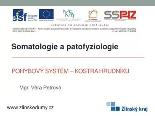 pohybov syst m kostra hrudn ku