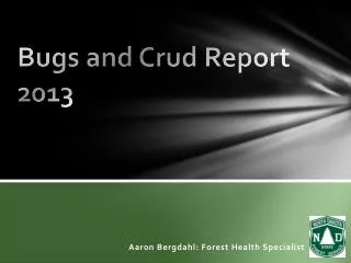 Bugs and Crud Report 2013