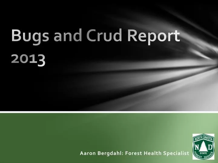 bugs and crud report 2013