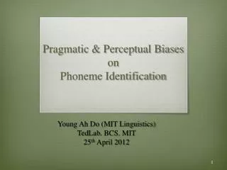 Pragmatic &amp; Perceptual Biases on Phoneme Identification