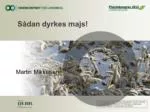 Disposition - slide 1