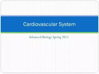 Cardiovascular System