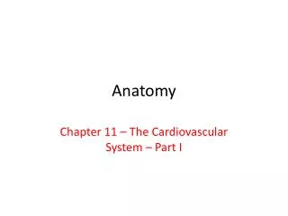 Anatomy