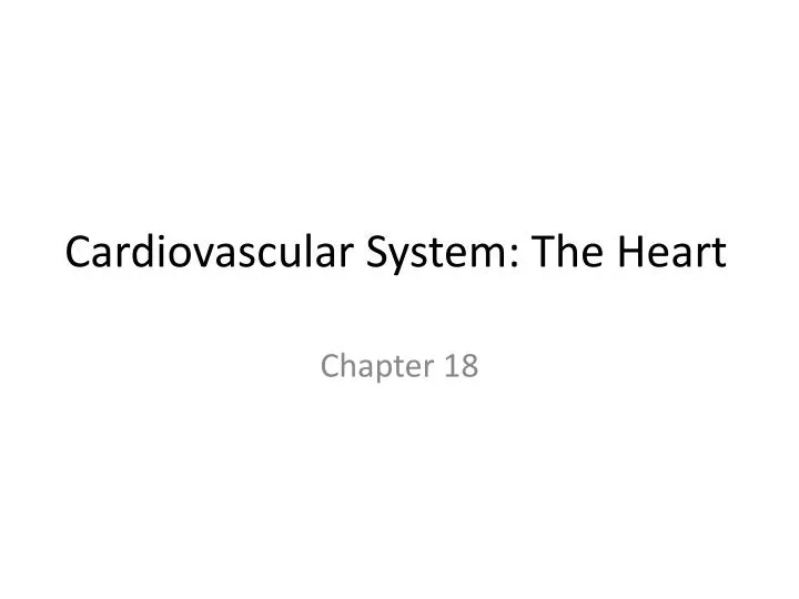 cardiovascular system the heart