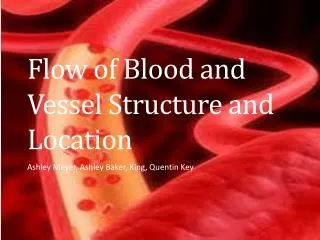flow of blood and vessel structure and location
