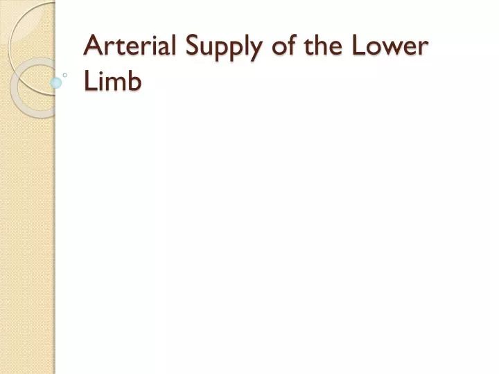 arterial supply of the lower limb