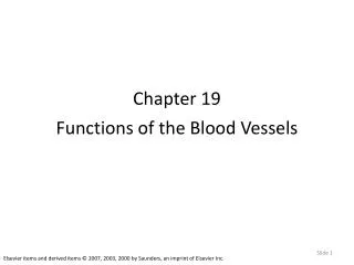 Chapter 19 Functions of the Blood Vessels