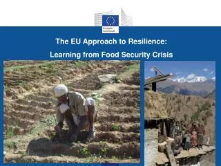 The EU Approach to Resilience : Learning from Food Security Crisis