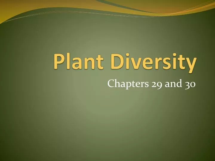 plant diversity