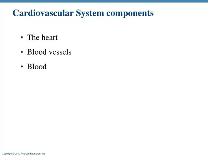 cardiovascular system components