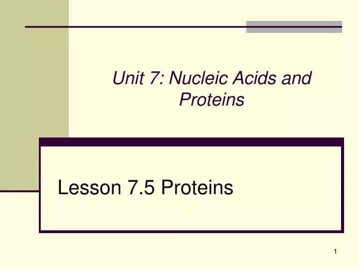 unit 7 nucleic acids and proteins